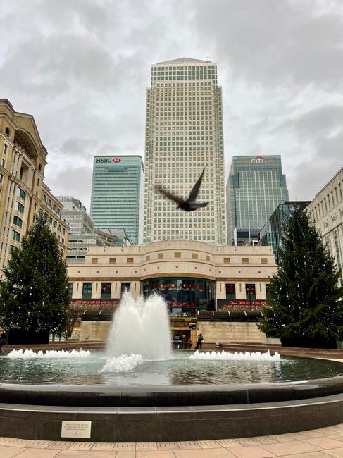 A bird is captured mid-flight above a large water fountain situated on a paved plaza, with water splashing up from the fountain’s center. The fountain is encircled by a dark stone border and situated between two symmetrical rows of tall evergreen trees. In the background, a modern, white multi-storey building with rounded architectural details is visible, flanked by several high-rise office buildings made of glass and steel, featuring prominent logos such as HSBC and Citi. The sky overhead is cloudy, creating a subdued lighting atmosphere. The scene appears to be in an urban business district, emphasizing the clean, organized environment with a mix of natural and architectural elements. This setting aligns with the concept of privately managed public spaces and could relate to alternative waste management or City services in busy commercial areas, indirectly connecting to rubbish removal and environmental responsibility. The whole scene underscores an organized, professional cityscape and may be part of a broader infrastructure for maintaining cleanliness and aesthetic appeal in the district.
